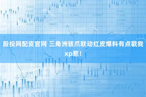股投网配资官网 三角洲骇爪联动红皮爆料有点戳我xp惹！