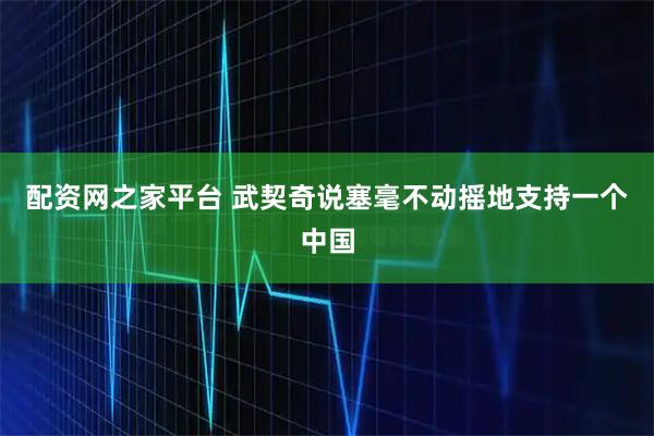 配资网之家平台 武契奇说塞毫不动摇地支持一个中国