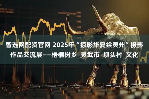 智选网配资官网 2025年“掠影华夏绘灵州”摄影作品交流展——梧桐树乡_灵武市_坝头村_文化