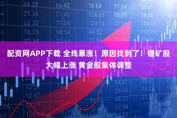 配资网APP下载 全线暴涨！原因找到了！锂矿股大幅上涨 黄金股集体调整